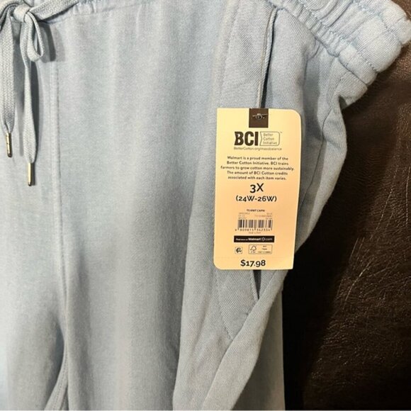 Terra & Sky Pale Blue Capris Size 3X - Picture 5 of 8